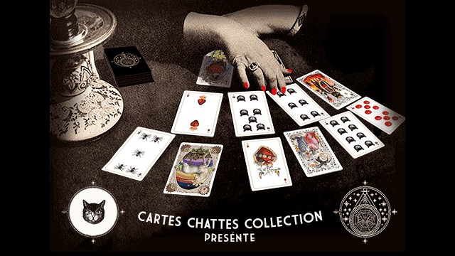 Cartes_Chattes_banner640x360